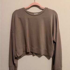 Women's Casual Brown Cropped Top